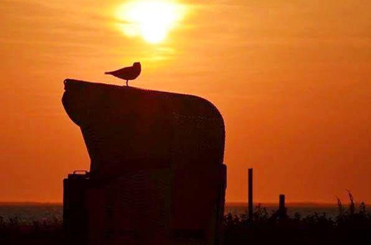 Hotel Up Diek Carolinensiel Bagian luar foto